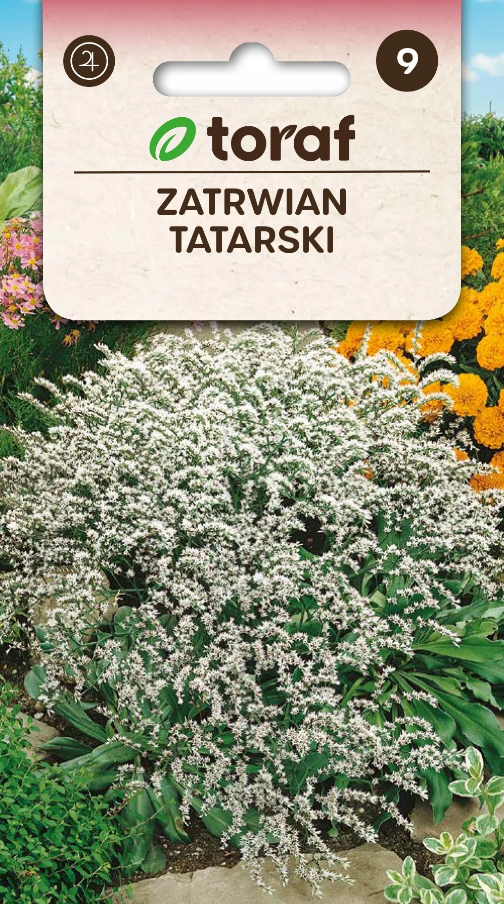 Tatar Tatar bloemenzaden-679 Toraf