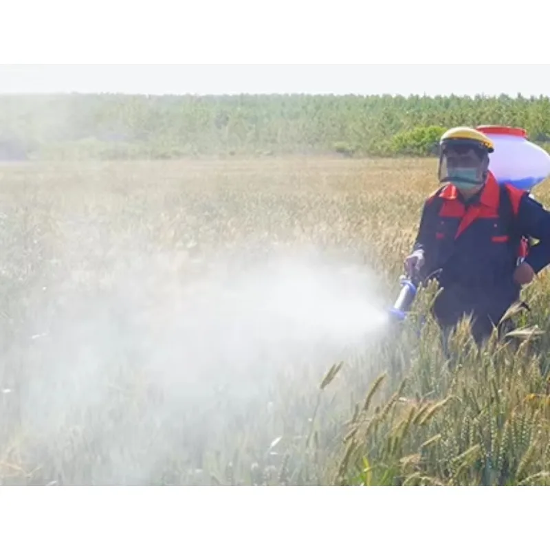 Powered Knapsack Sprayer 2-stroke Engine Sprayer for Agriculture
