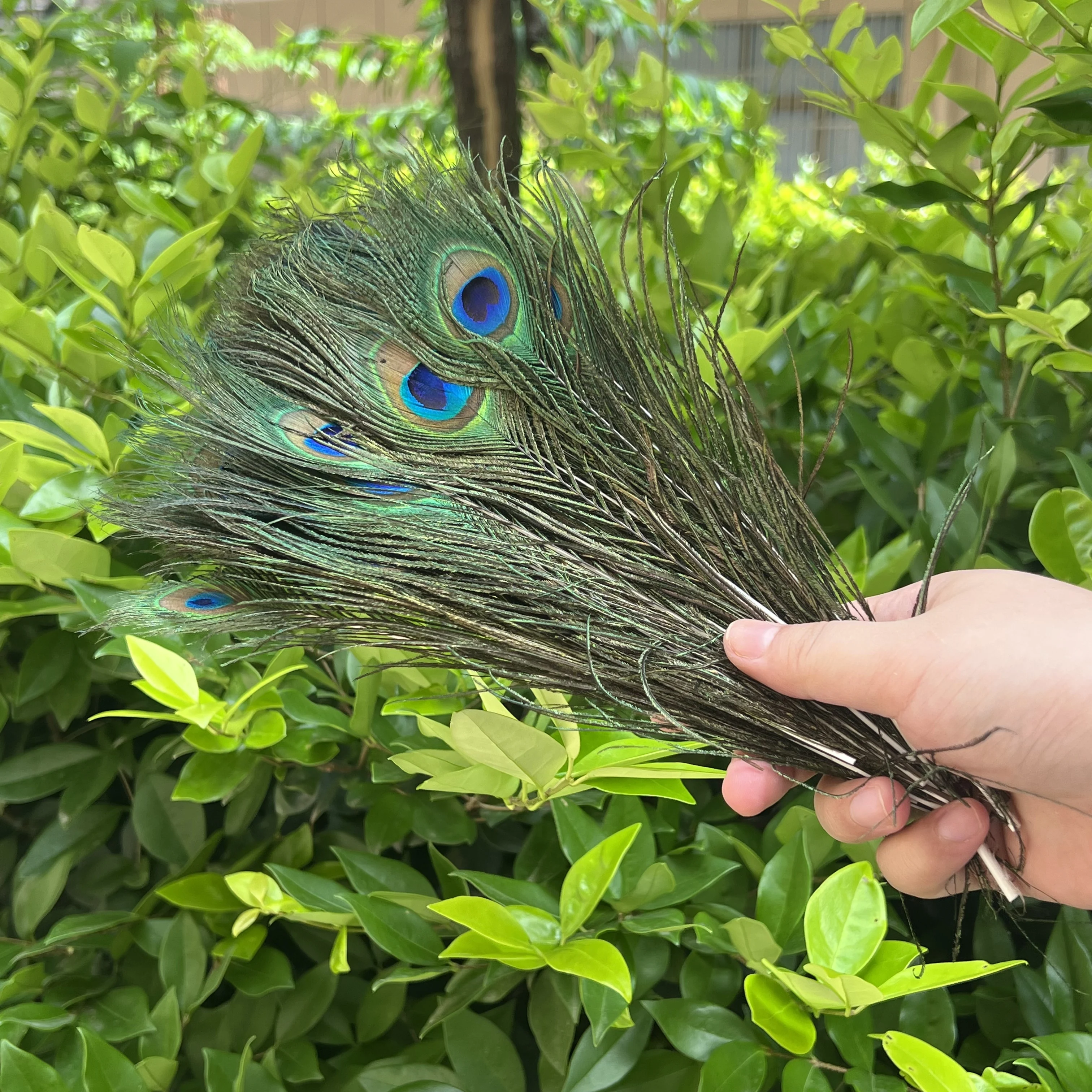 

100pcs Natural Peacock Feathers 30-35cm Arrow Shape DIY Craft Decorations Wedding Party Costume Accessories Handmade Plumage