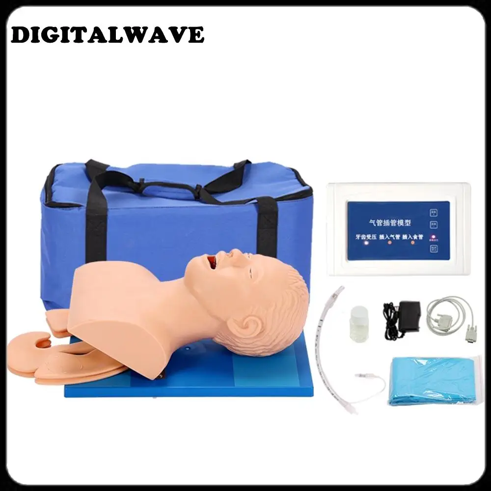 Intubation Manikin Study Teaching Model Airway Management Trainer PVC With Teeth 110-220V