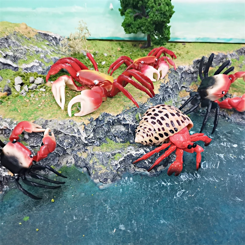 Simulation Ocean Sea Life Animal Model Realistic Crab Lobster Hermit Crab Action Figures Educational Collection Children Toys