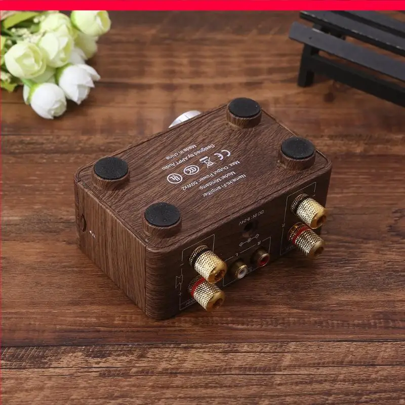 96GD Amplificador Módulo Digital Power Amplifier Board TPA31162 folga