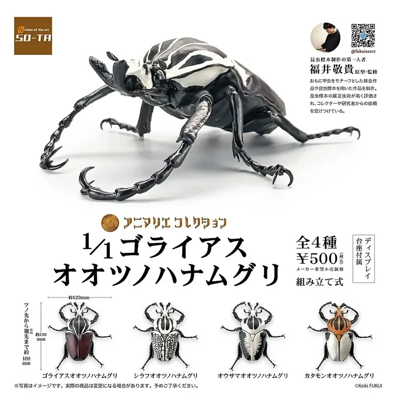 SO-TA Gashapon Capsule Toys Insect Creature Kawaii 1/1 Golden Turtle Unicorn Beetle Models Cute Action Figure Gift