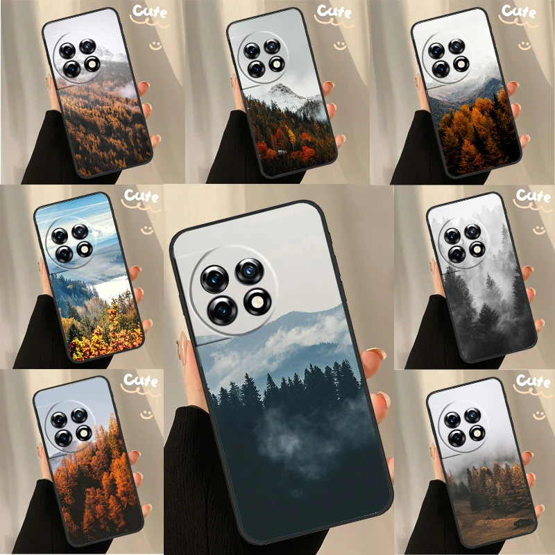 Mountain Forest Cov… - image