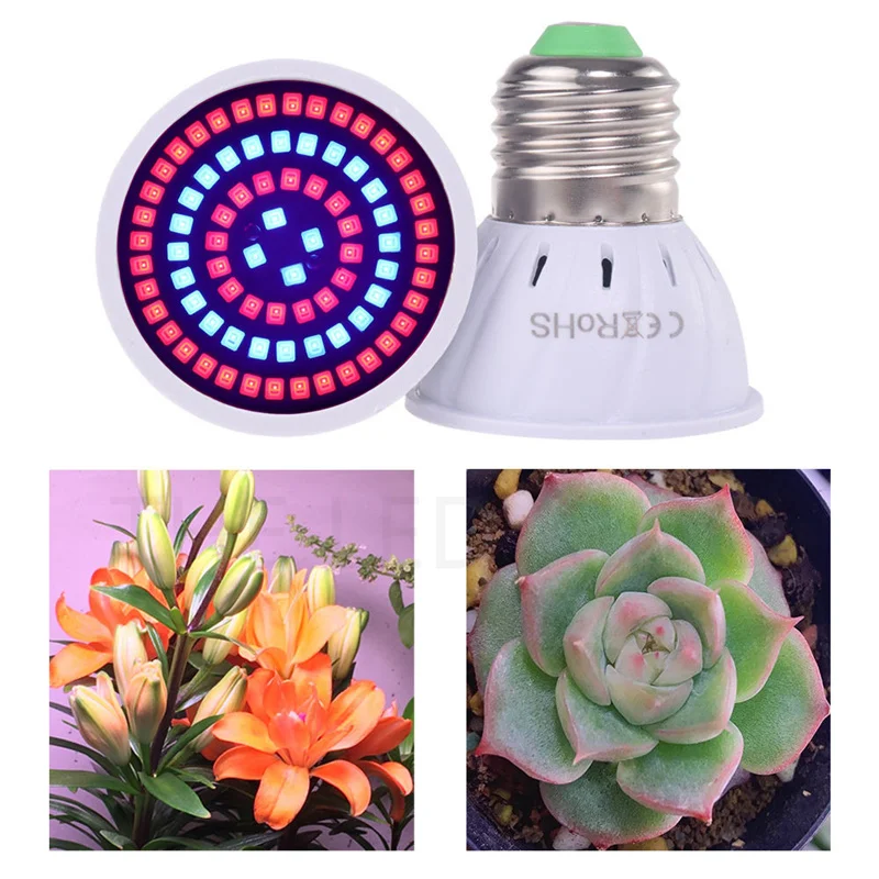 Ampoule LED hydroponique pour plantes à fleurs, lampe de croissance rapide, spot UV IR, rouge et bleu, E14 GU10 MR16, 200 V, 220