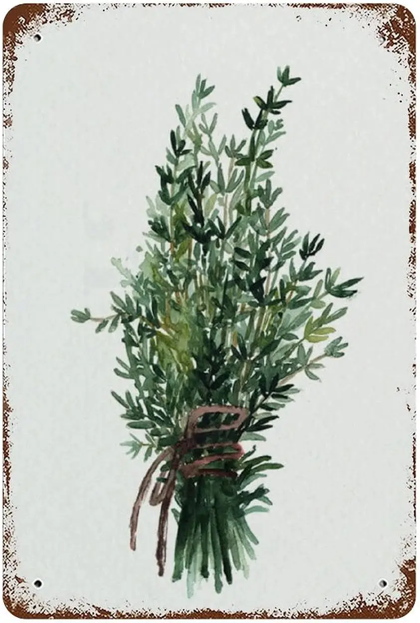 Vintage Tin Sign Thyme Bundle Watercolor Decor Thyme Botanical Green Herb Watercolour Decor Minimalist Kitchen Wall Decor Herb A