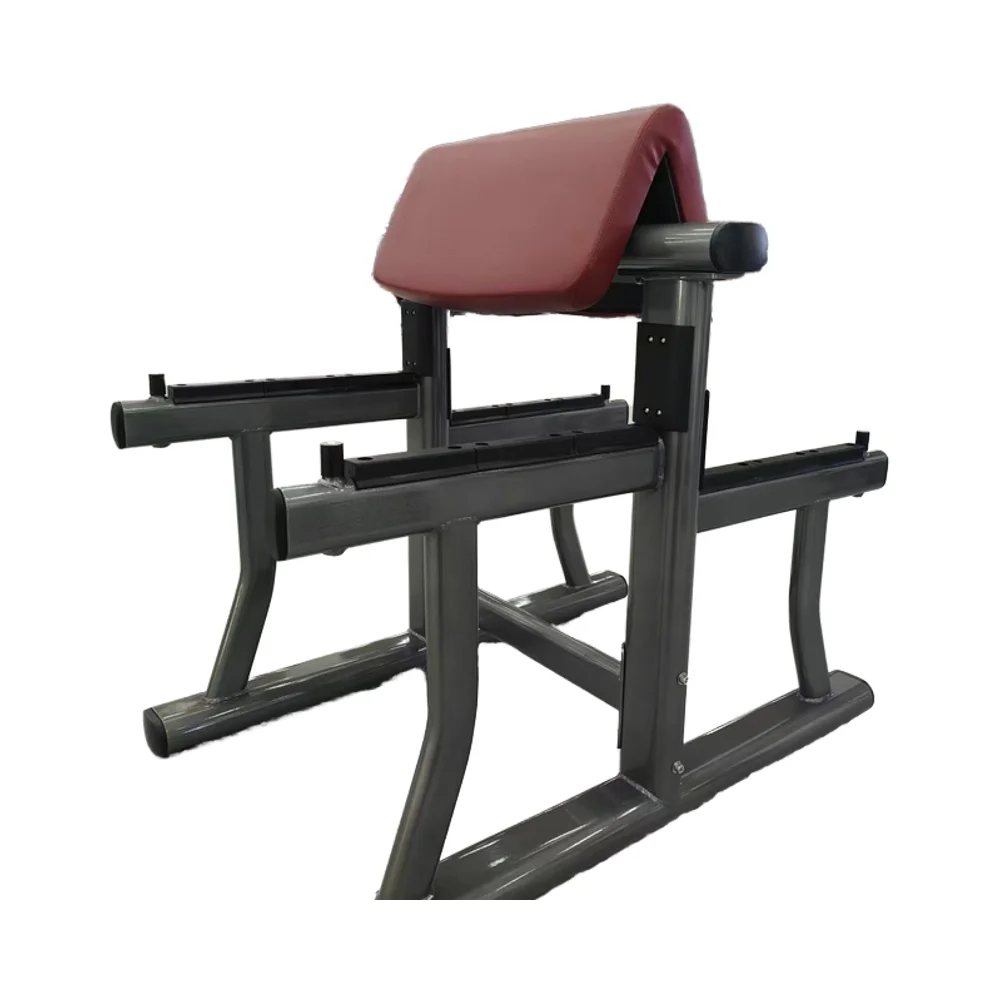 

Professional Foldable Steel & Metal Biceps Training Bench for Strength Building