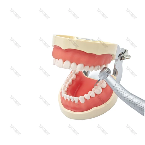 Imagen 2 del producto 10 unids/pack Dental diamante BursTaper/redondo/extrafino/estándar baja velocidad fresas dentales odontología fresas RA Dia.2.35mm