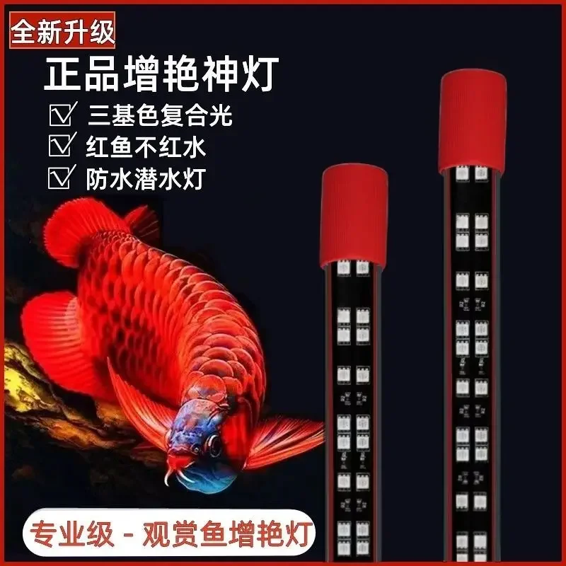 Three primary colors enhanced red dragon fish light, parrot koi diving waterproof LED fish tank light view 4