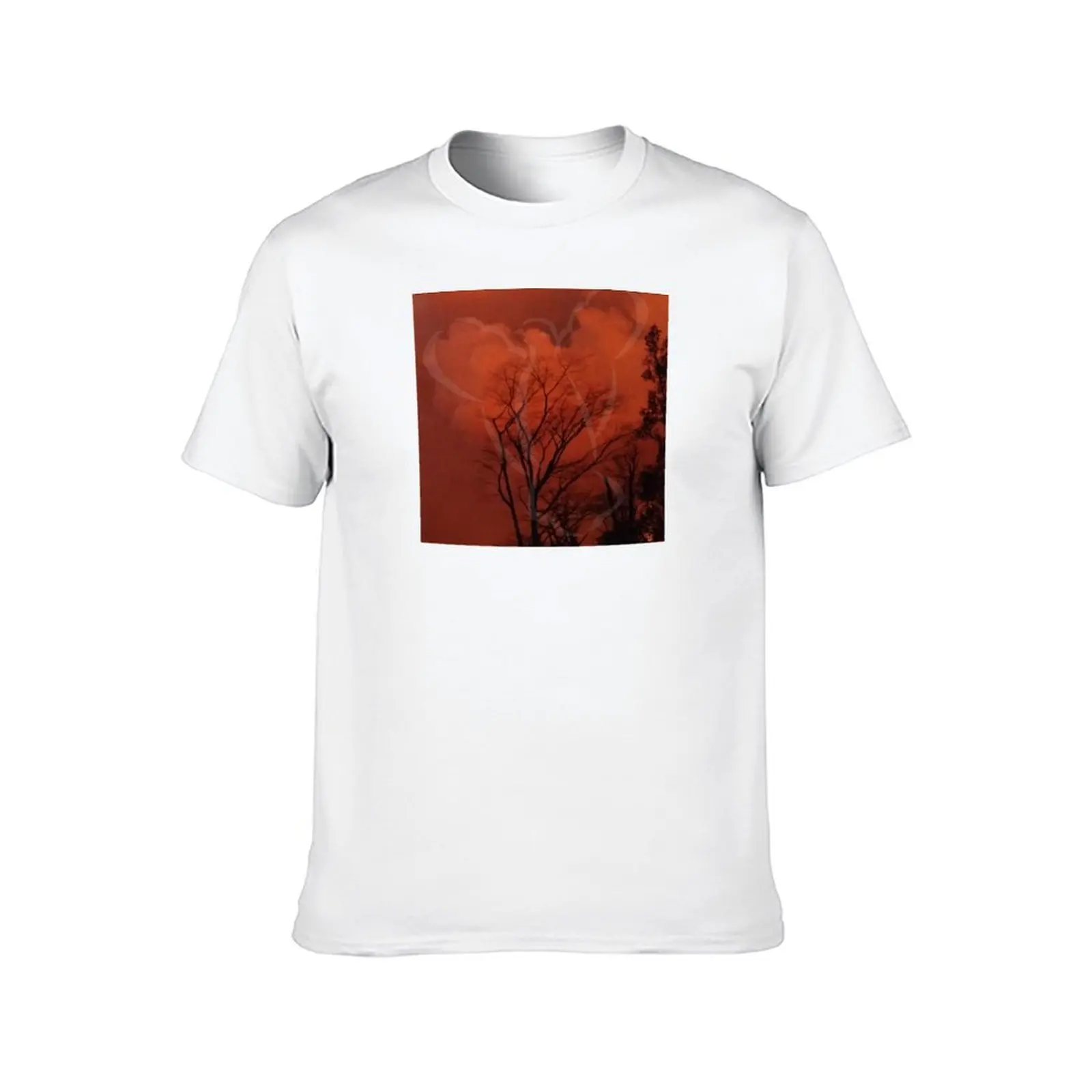 تي شيرت تي شيرت AHT تي شيرت رابتور أوف مان قميص مطبوع جرافيك - تي شيرت رجالي مخصص من القطن لسلام النار