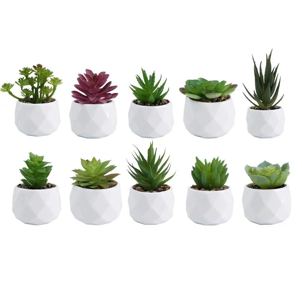 Artificial Succulent Potted Plant Simulation Mini Evergreen Potted Plant Cactus Succulent Plastic Fake Plant Home Decoration