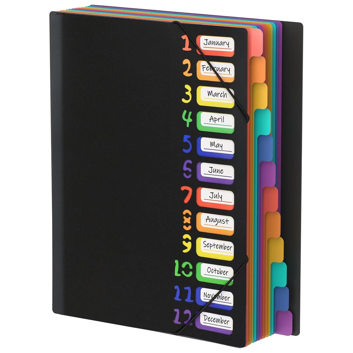 A4 Rainbow Data Organizer File Folder Organizer File Folder Organizer Large Capacity Korean Style Simple Office Supplies