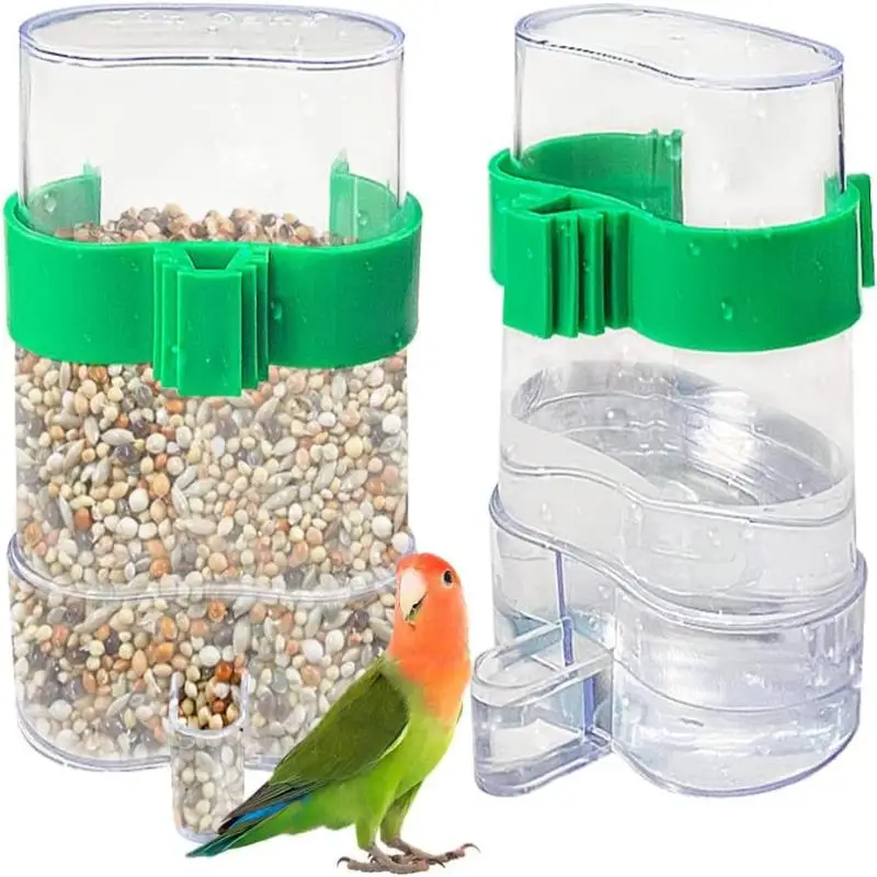 Automatic Bird Drinking Feeder with Transparent Design