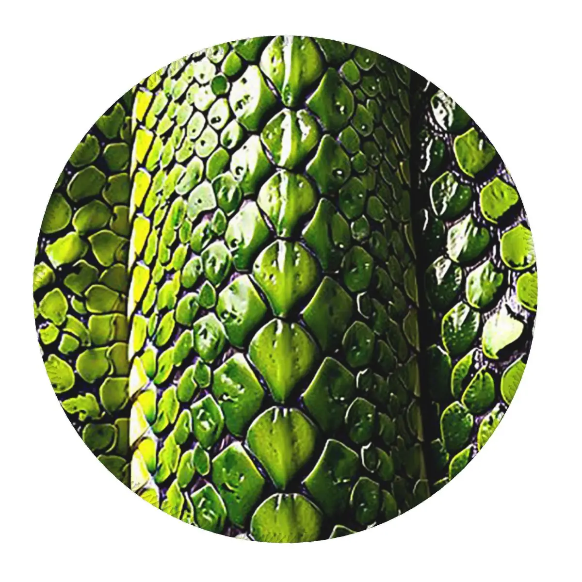 

Коврик для мыши с принтом змеиной кожи, зеленый, с изображением змеи, модный круглый коврик для мыши, коврик для клавиатуры и мыши, игровой коврик для ноутбука, настольный коврик