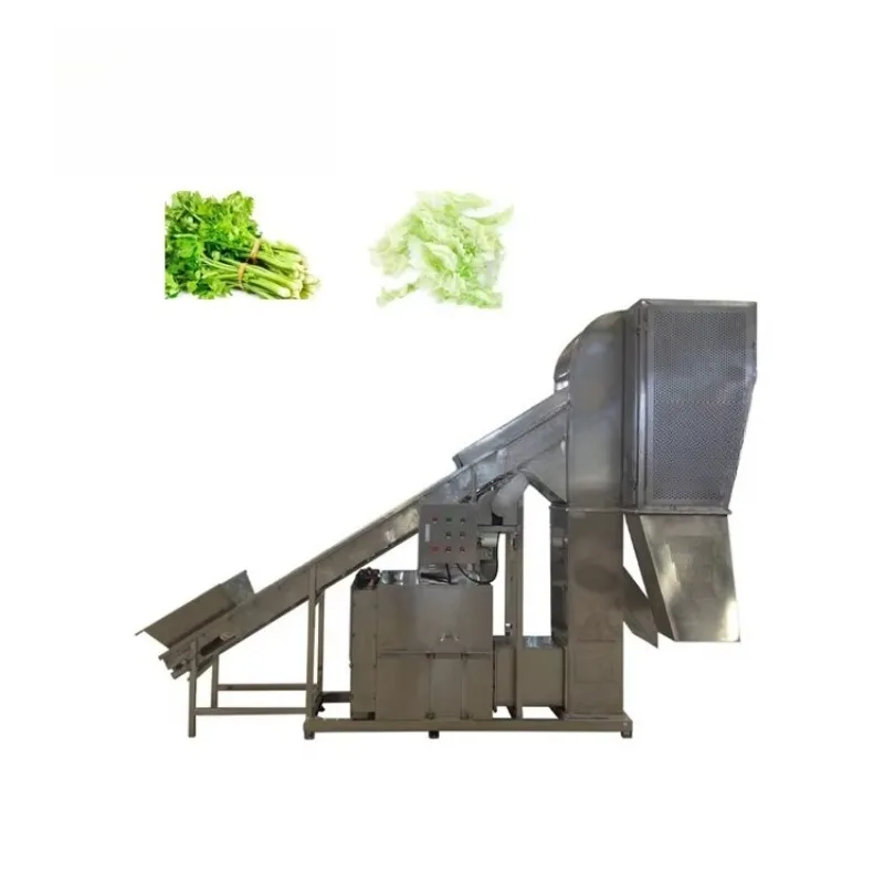 Automatic Industrial  Leafy Vegetables Winnowing Separator Sorting Grading Celery Spinach Cabbage Remove Leaves