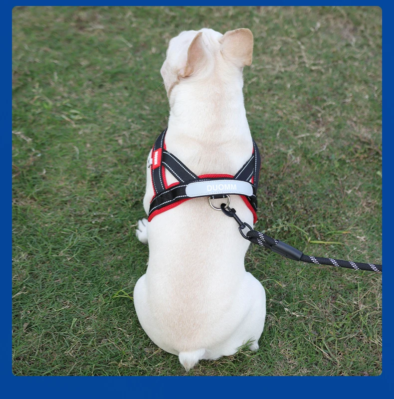 Hunde-Haustier-Brustgeschirr, breites Gurtband, zweifarbig, kontrastierend, vier Seadon-Hundegeschirr, Nylongriff, Outdoor-Hundegeschirr, reflektierend – Detail 19