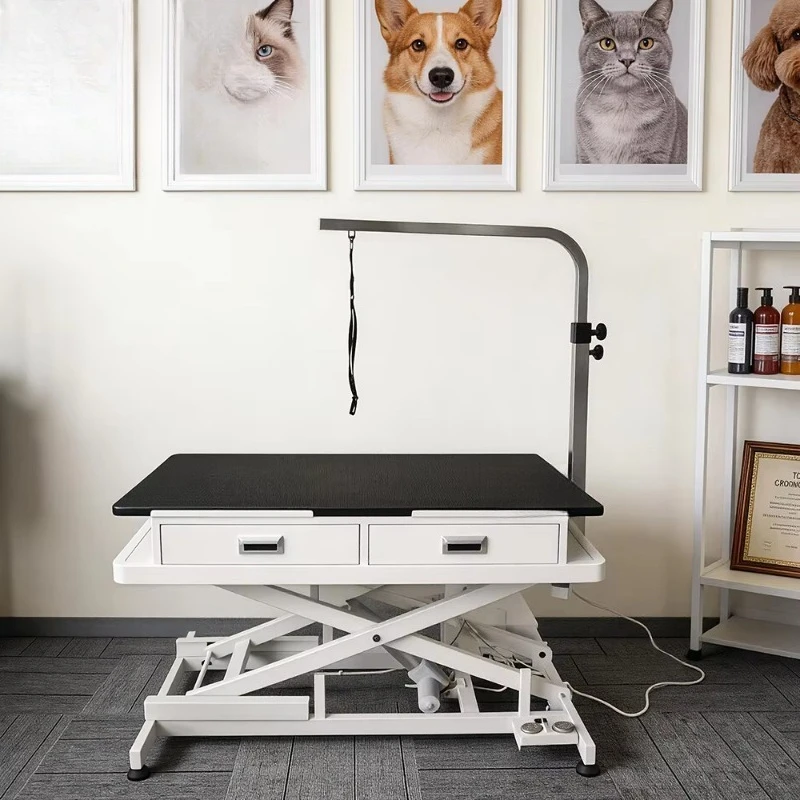 Electric Lifting Large Dog Grooming Table Hot Sale Large Pet Salon Table USB Socket Drawers Adjustable