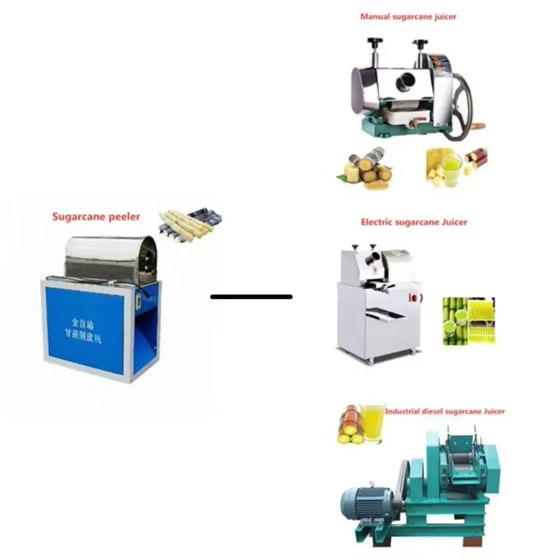 Table Top Sugarcane Juicer Sugar Cane Juice Making Extractor Machine