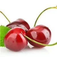 For Renault Kadjar Scenic Megane Sandero Espace Clio New WInter Warm Plush Car Steering Wheel Cover Koi Flannel Handble Cover