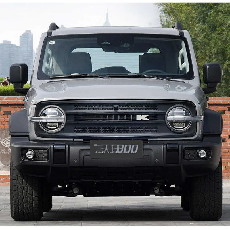 

Применимо 300-средняя сетка, смена декорационного вида, защитник, передняя решетка, декоративная модификация автомобиля, аксессуар