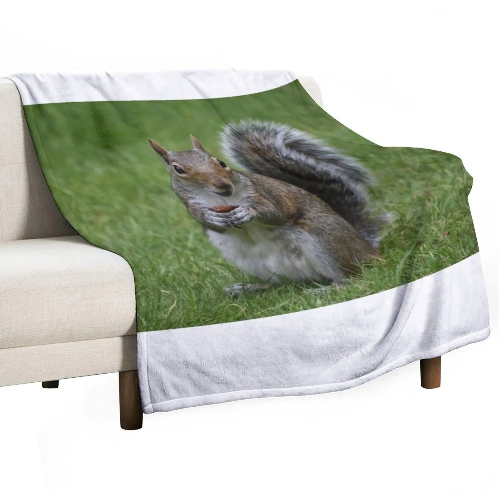 Grey Squirrel with a peanut Throw Blanket christmas decoration Plaid Blankets