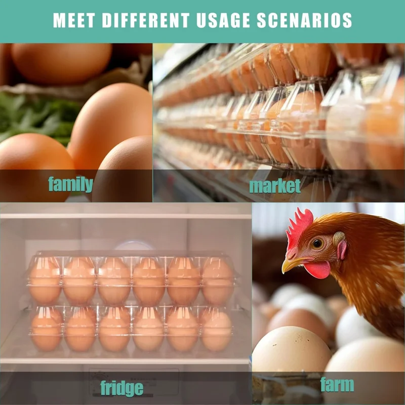 40 عبوة من كرتونة البيض البلاستيكية، كرتون البيض 2 * 6 شبكات، كرتون البيض السائبة الرخيصة، 12 بيضة مثالية، سوق مزرعة الدجاج والثلاجة