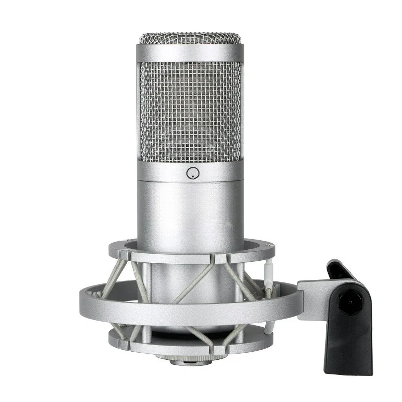 SL-10 Large Diaphragm Condenser Microphone 48v Heart Shaped Live Audiobook Recording External Sound Card Set
