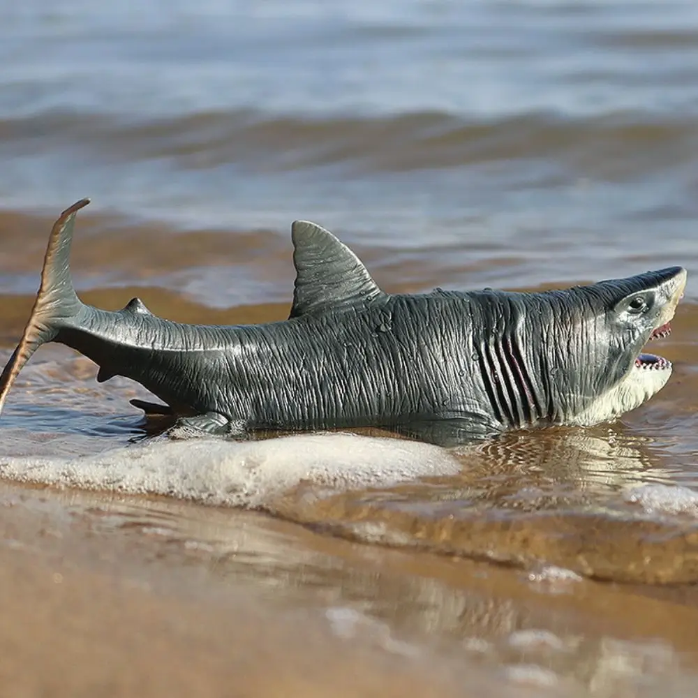 Symulacja megalodon figurka ruchoma szczęka świat morza zwierzęta oceaniczne Model edukacyjny realistyczny duży rekin rysunek zabawka dla dzieci