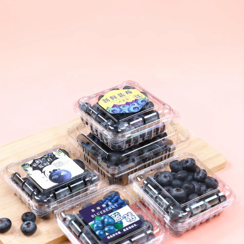 Clear Plastic Packaging Box Disposable Fruit Container Transparent Berry Storage Tray Fresh Food Case For Grocery Store