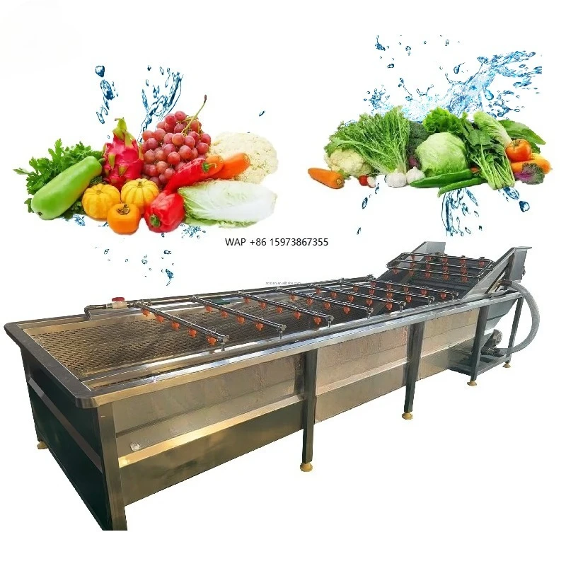 Commercial Ozone Vegetable Washer Vegetable and Fruit Washing and Sorting Machines