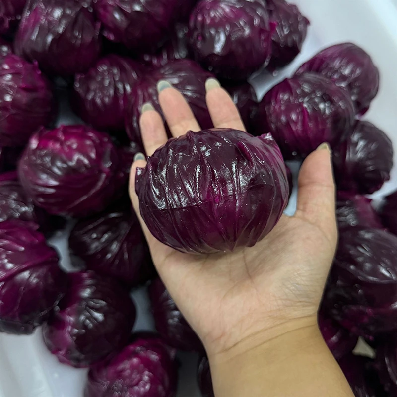 Red Cabbage Crunchy Squishy Crispy Sound Stress Relief Squeeze Toy Round Blocks Filled Anti-Stress Fidget Toy Gifts for Adults