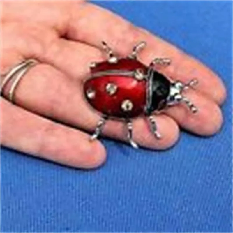 Women Ladybug Brooches Men Suit Lapel Pins Vintage Accessories