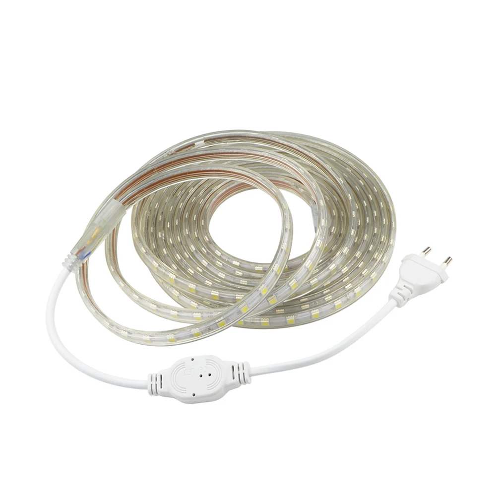 SMD 5050 LED Strip 220V Lamp Waterproof RGB LED Tape Rope Light Flexible LED light 220 V Outdoor Decoration Lights