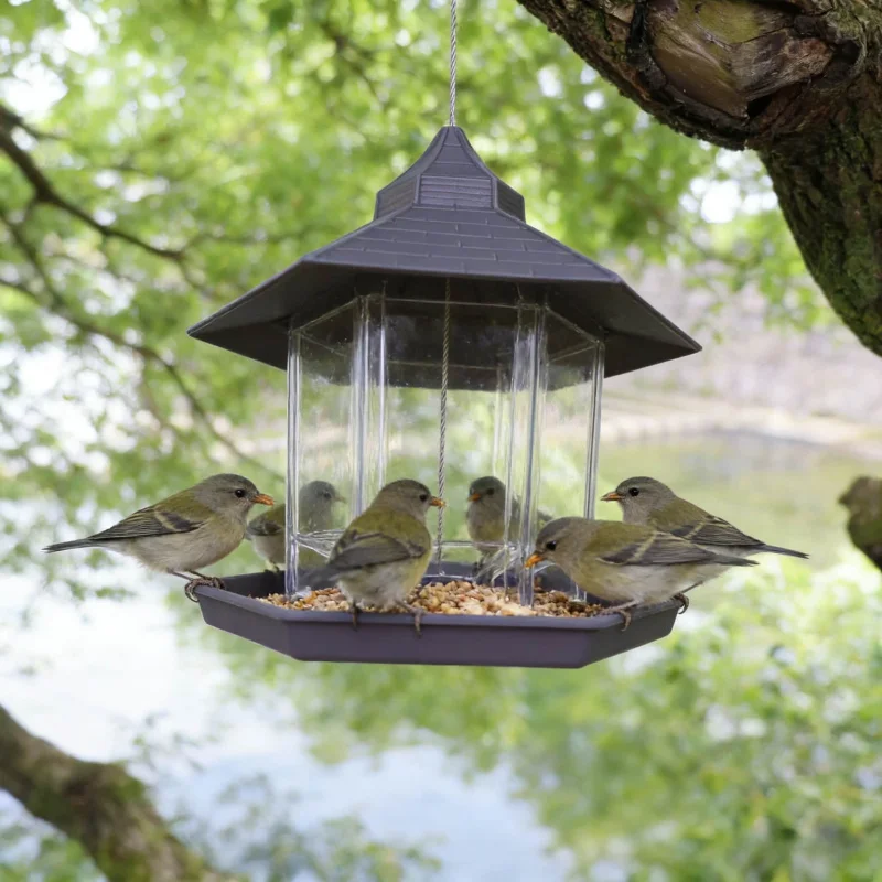 Comedero para Pájaros Colgante de Jardín, Comedero Automático para Colibríes, Gran Capacidad, Diseño a Prueba de Fugas, Accesorio para Alimentar Pájaros al Aire Libre