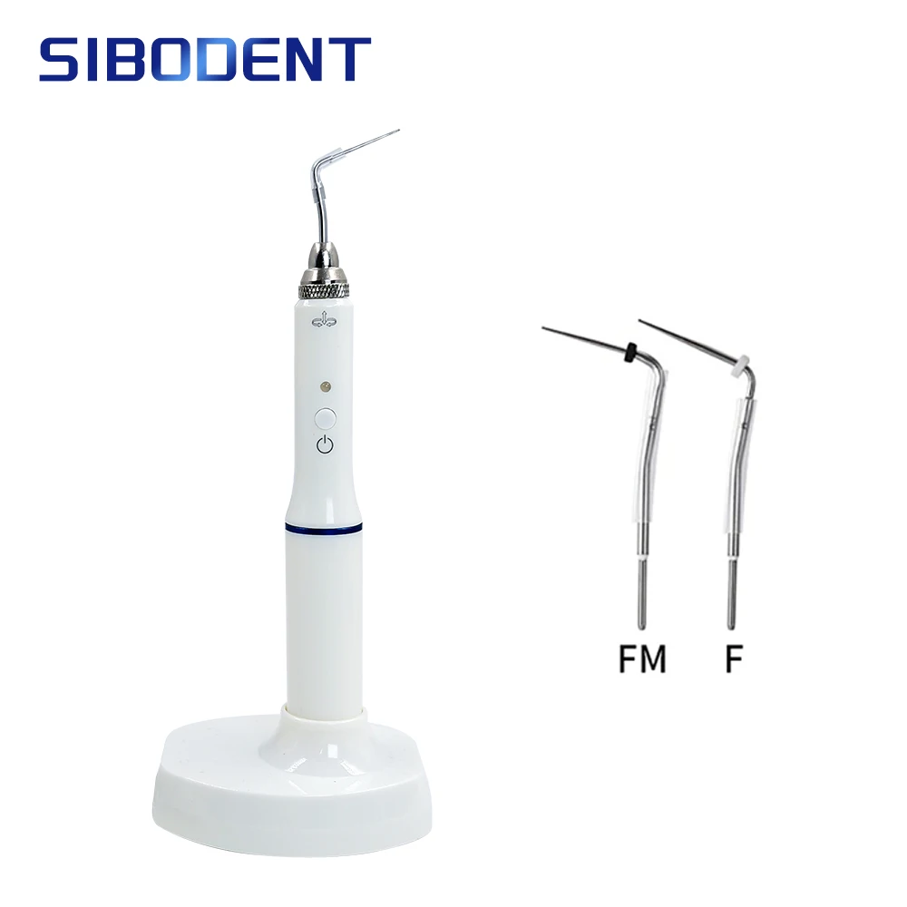 Dental Cordless Wireless Gutta Percha Obturation System Endo Heated Pen 2Tips Wireless for Root Canal Filling Obturation filling