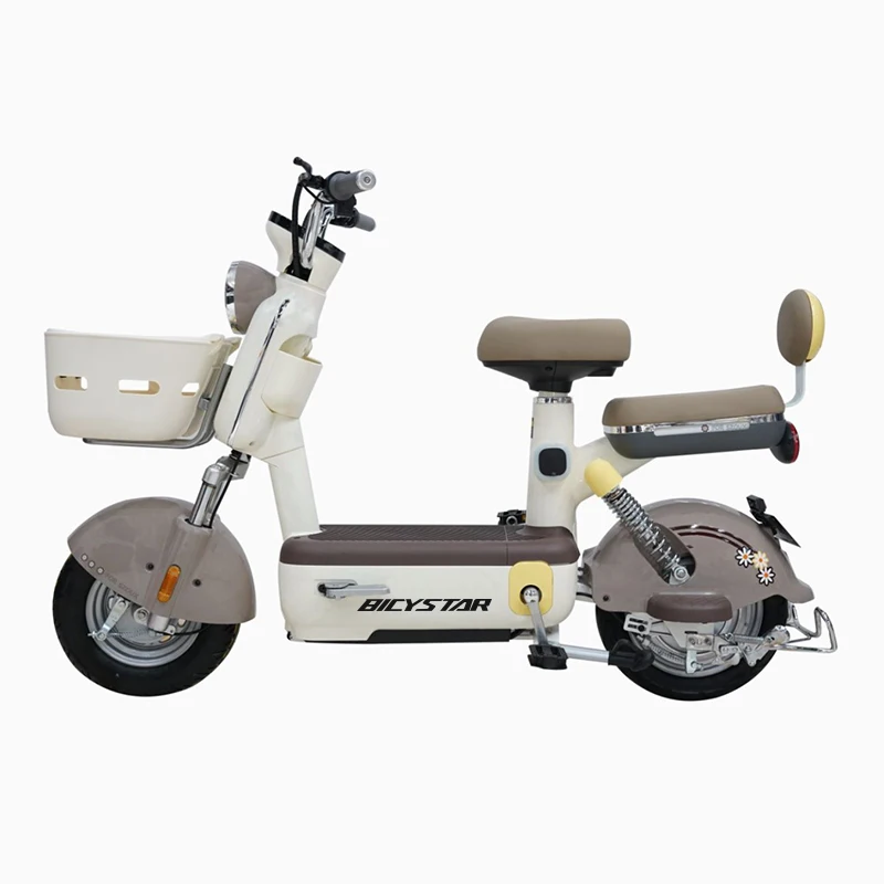 China Manufacturer 350W Ebike Safe Steel Electric Bicycle 48V Lead-Acid Battery Big Basket 2 Seats City Electric Bike