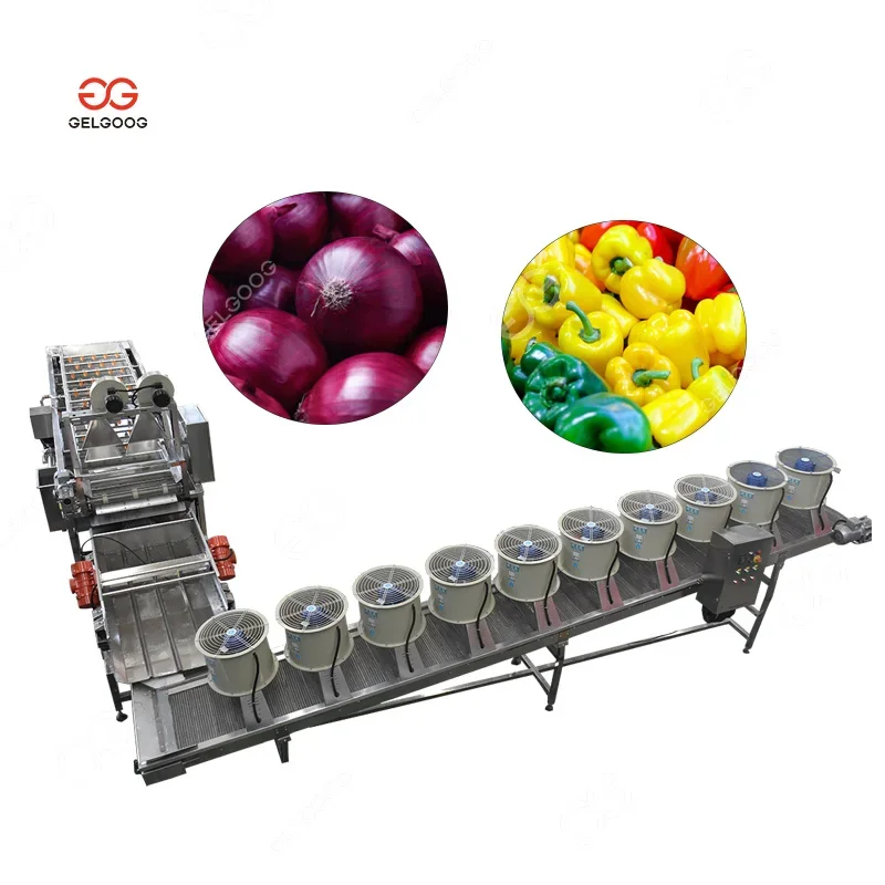 Dry Red Chilli Cleaning Onion Washing and Sorting Peeling Bell Pepper Dry Wash Machine