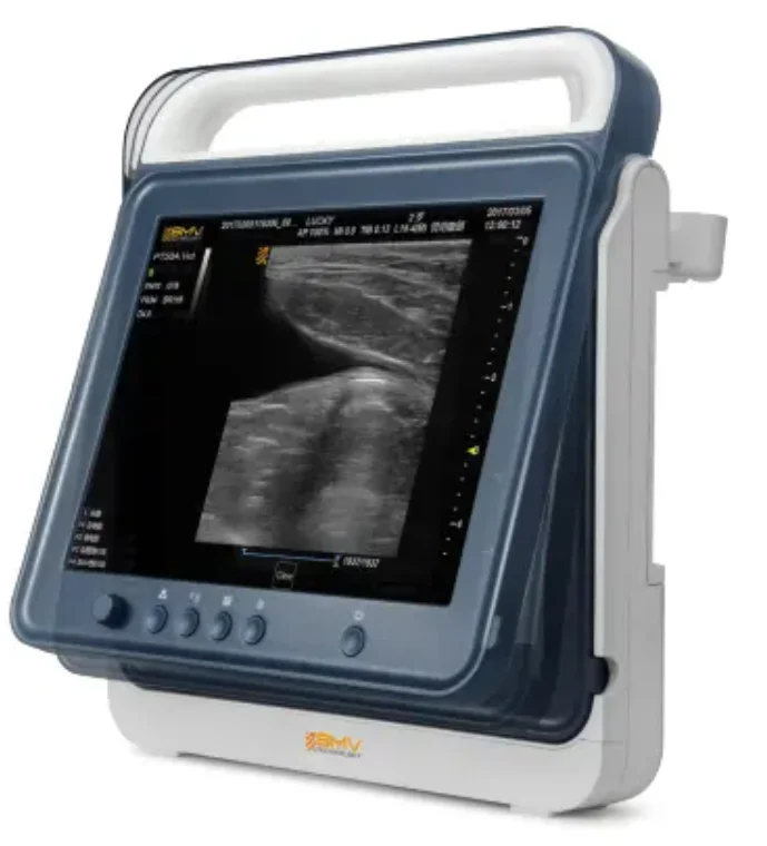 Affordable Animal Ultrasound Scanner Touch B/W Portable System PT50A Veterinary Clinic Ultrasound Device
