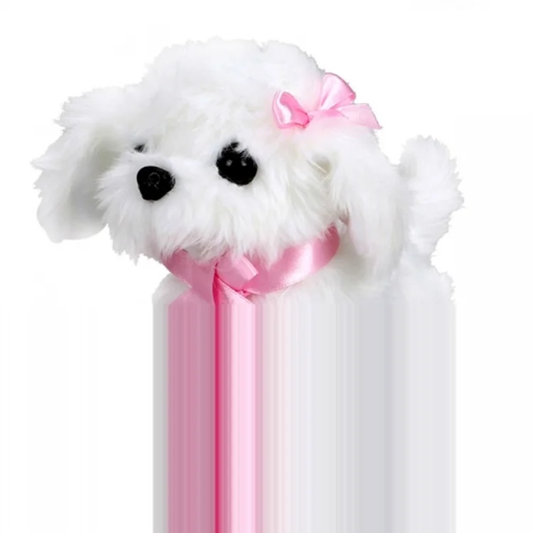 Sunman cute dog Maltese