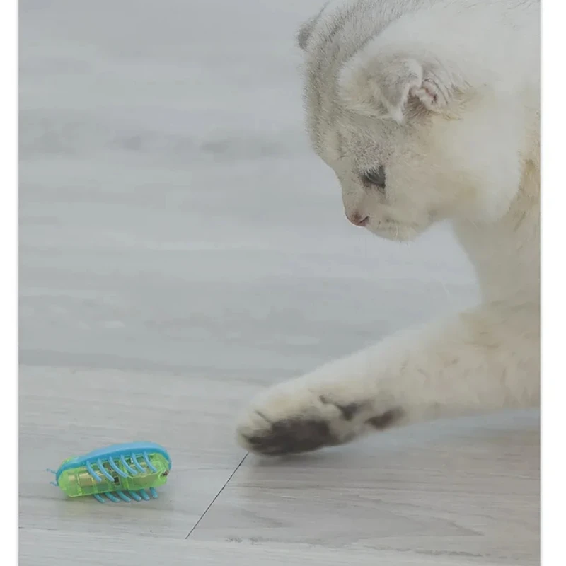 

Electric Bug Cat Toy Automatic Flip Battery Operated Pet Dog Beetle Playing Interactive Toy Interactive Cat Toy Pet Supplies