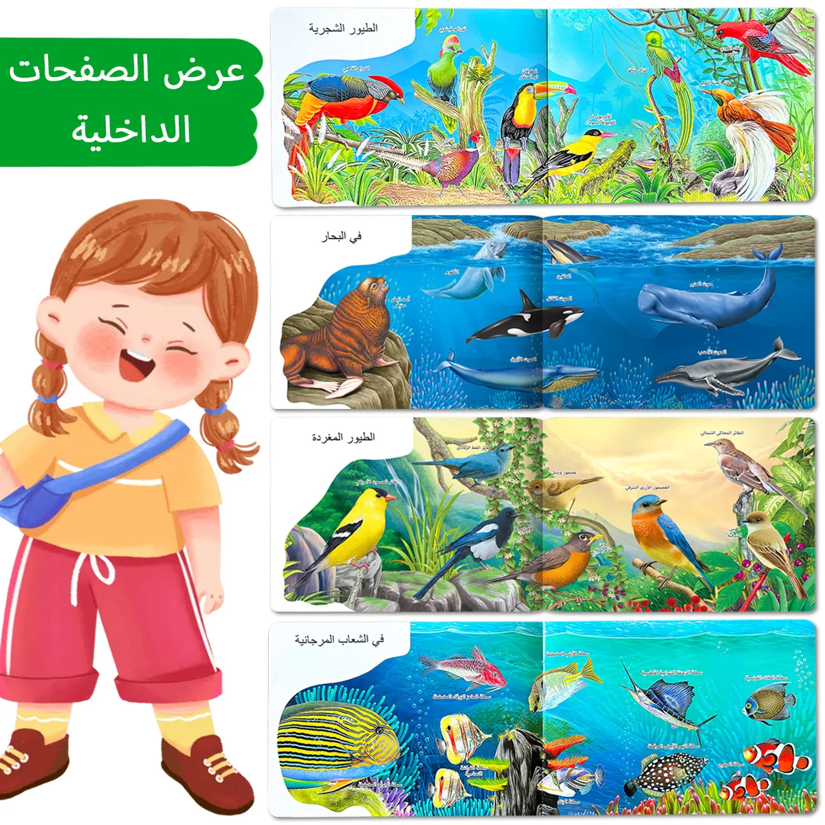 كتاب موسوعة الأطفال العربية عن الطيور والحيوانات البحرية