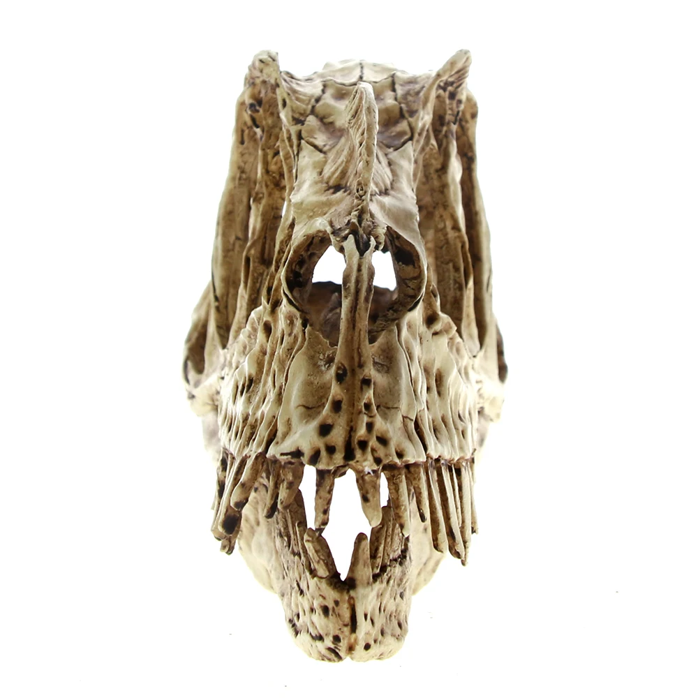 [MGT] High Precision Ceratosaurus Skull Model Rex Dinosaur Resin Fossil Skull Model Collectibles Model Figure Aquarium Ornament