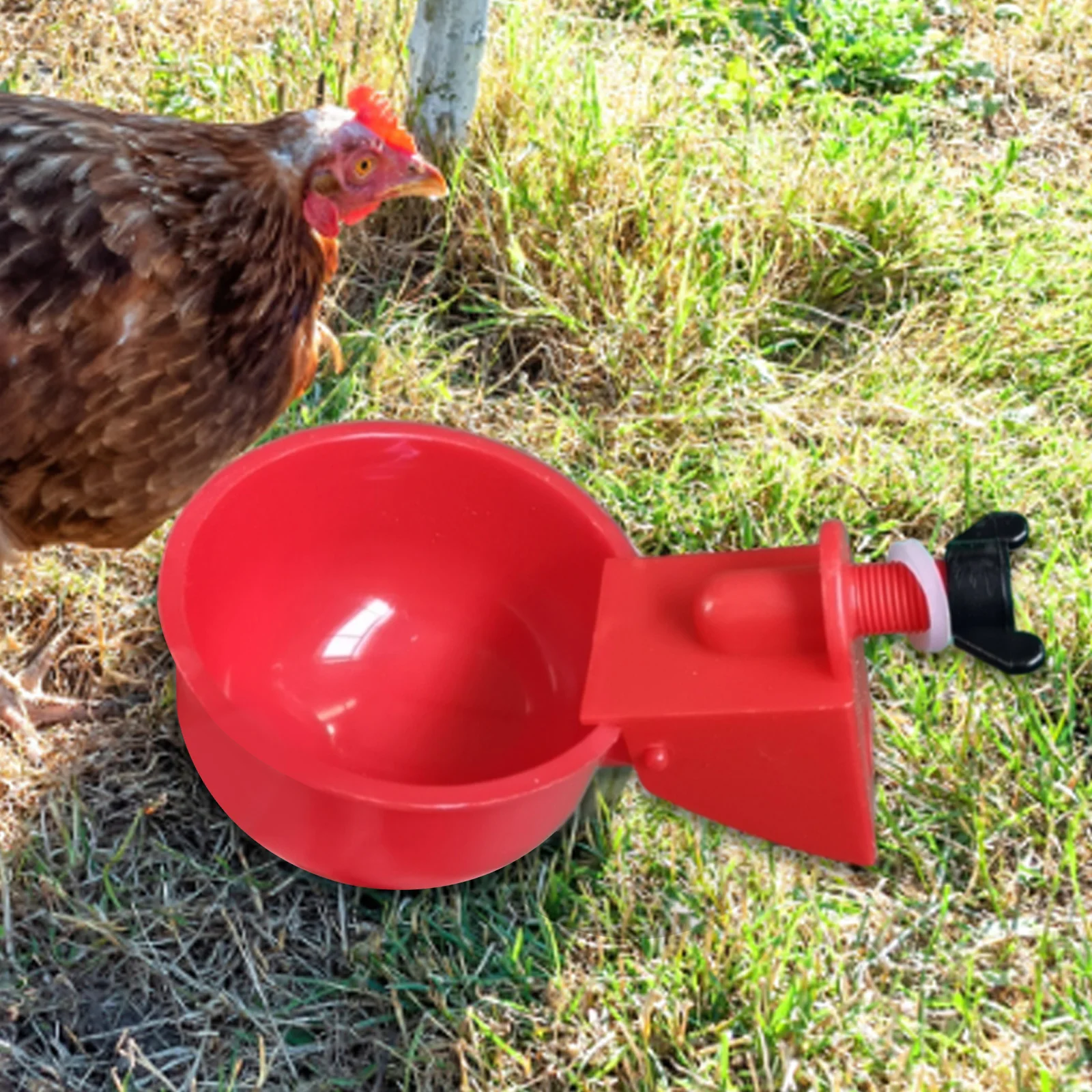 6Pcs Poultry Drinking Bowl Feeder Waterproof Automatic Chicken Feeder Farm Animal Drinking Water Feeder Chick Coop Accessories