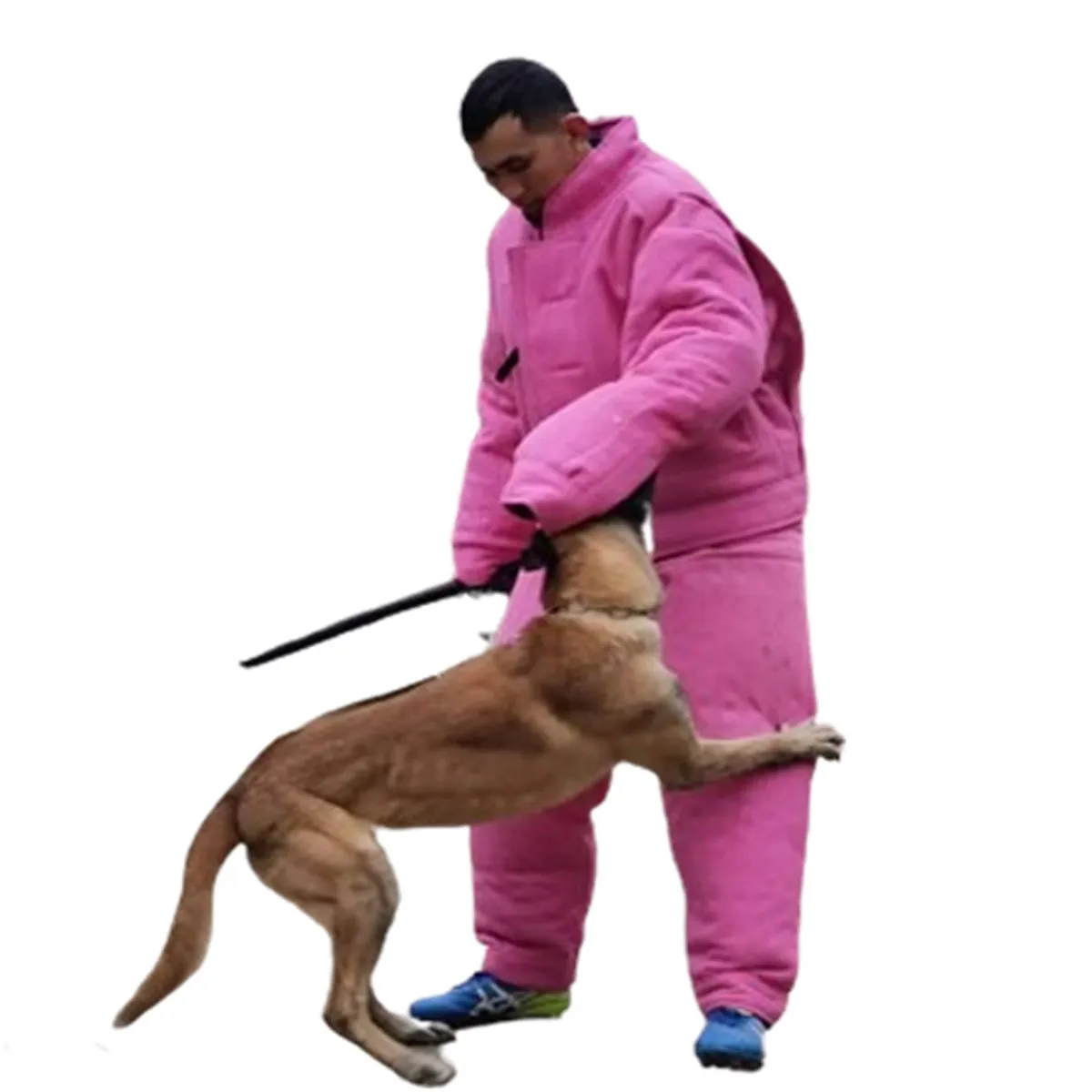 

Customizable 2024 Factory Hot Durable Hunting Dog Training Suit Equipment Anti-tear Full Protection Multiple Colors