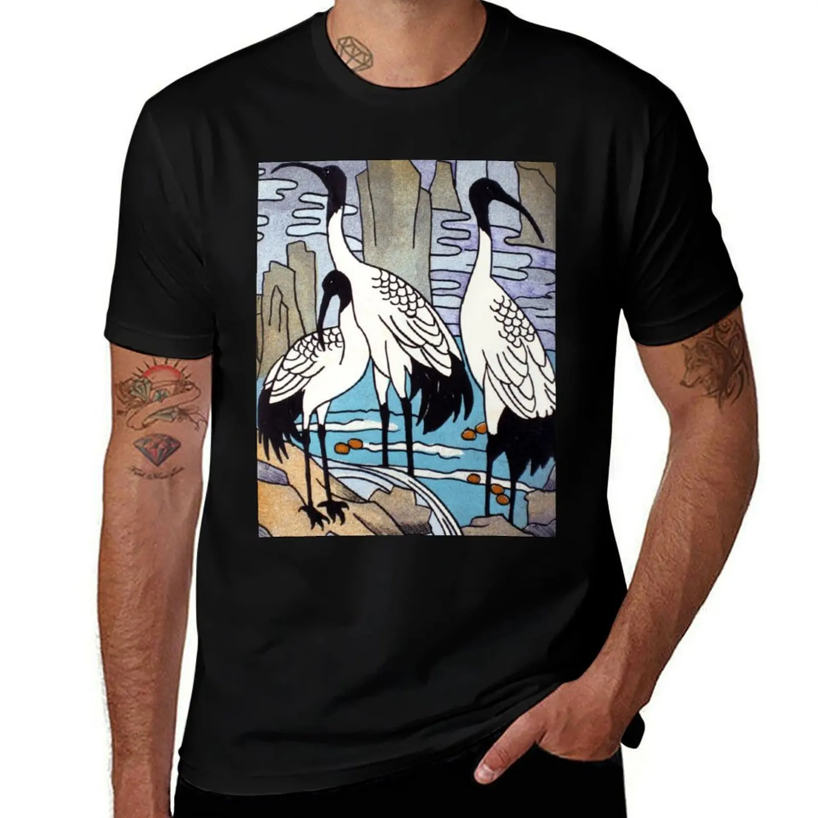 Ibis Shirts T Shirt… - image