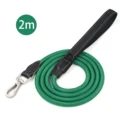 Green silver buckle