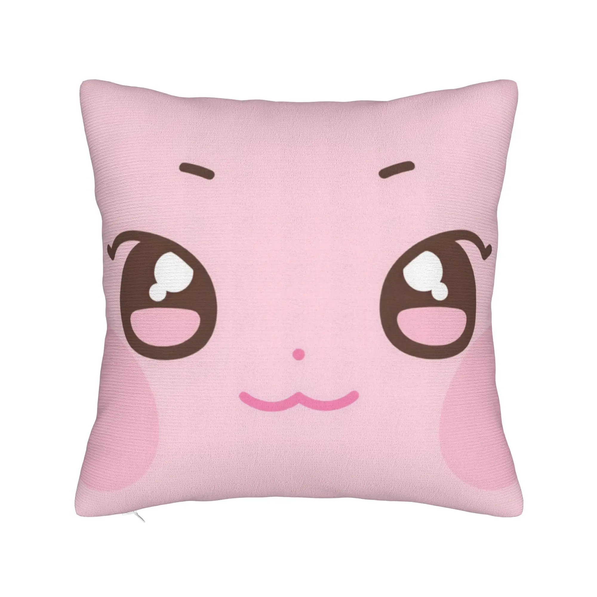 Aniteez Face Pillow Cover  Funny Pillow Case For Couch Sofa Bedroom Design Pillowcases Gift