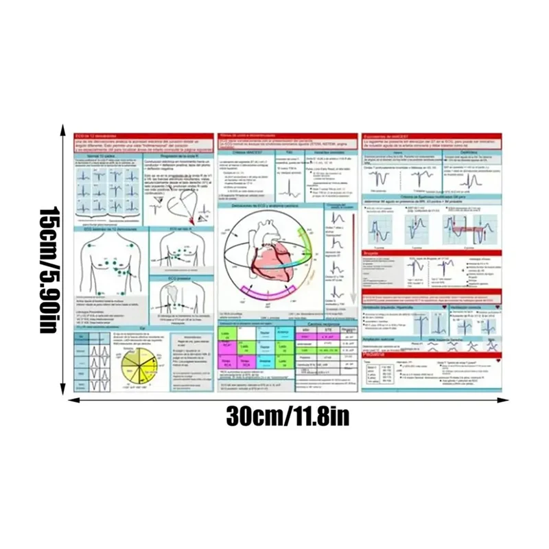 A71P Ecg Interpretation Pocket Card Horizontal & Vertical Layout Compact Reference Guide