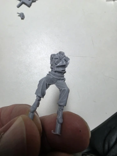 Buyer photo of this resin kit