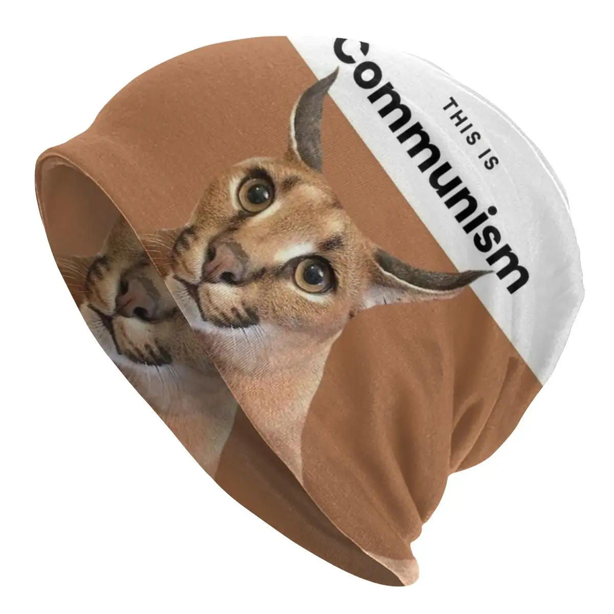 Custom Communism Floppa Cute Meme Bonnet Homme Cool Knitted Hat For Men Women Autumn Winter Warm Caracal Cat Beanies Caps